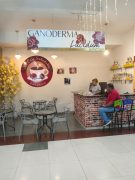 MI CAFÉ SALUDABLE ORGÁNICO