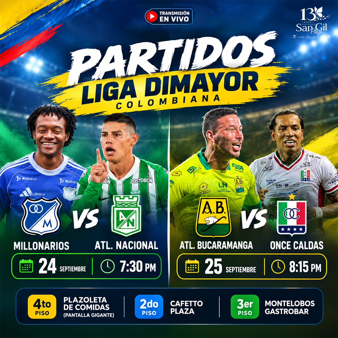 PARTIDOS_DIMAYOR